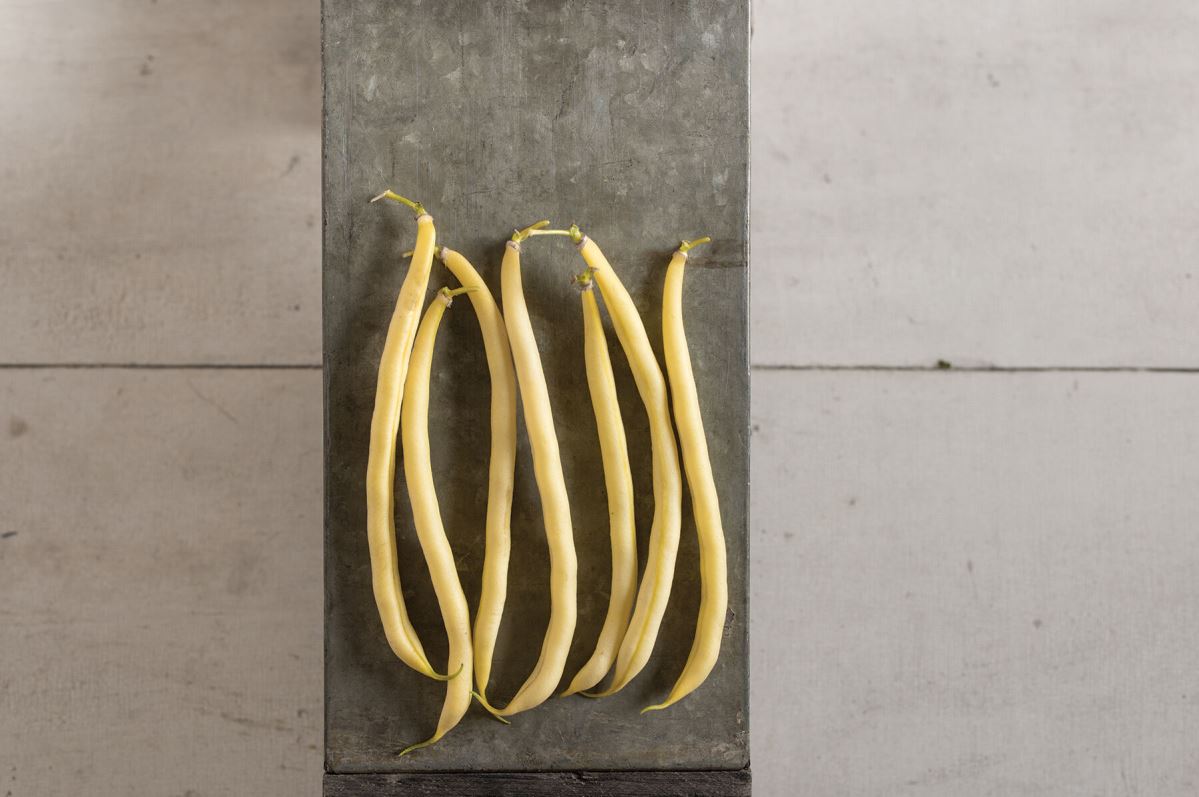 Rocdor – Organic Bean Seed